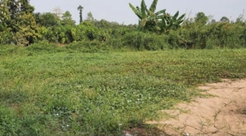 Bán nền 175m2 (5x35, thổ 128m2) Quốc lộ 30, xã Mỹ Xương, H Cao Lãnh.