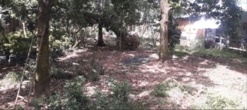 Đường Dale, Xã Mỹ Xương bán đất giá bán cực êm chỉ 360 triệu, hướng Đông Bắc, tổng diện tích là 234 m2 