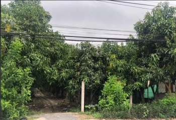 Bán đất chính chủ gần trường học bệnh viện giá 2.2 tỷ tại Huyện Cao Lãnh Đồng Tháp 