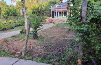 Bán gấp đất thổ+ đất vườn ấp Hưng Thành Tây, Long Hưng B, Lấp Vò, Đồng Tháp