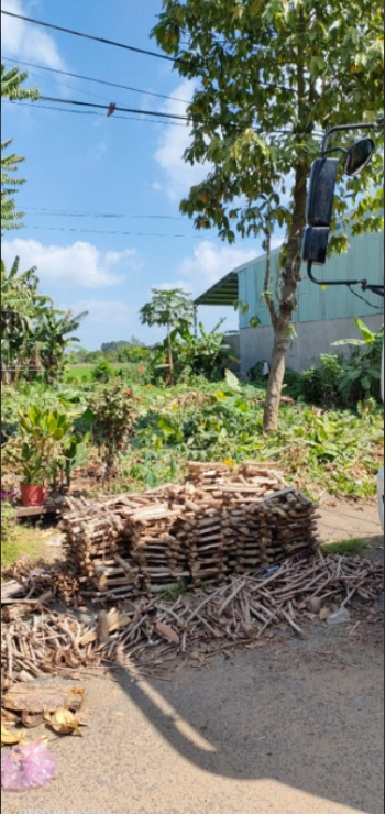 Tôi cần bán đất khu tái định cư full thổ cư, mặt tiền 12m đường DT852B - Thạnh Trung - Lấp Vò - Đồng Tháp 