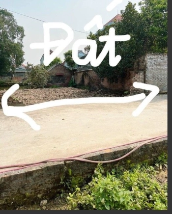 Cần bán 192m2 đất đường xe ô tô tránh nhau - thôn Ô Xuyên, Xã Cổ Bì, Huyện Bình Giang