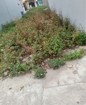  Chỉ 1 lô duy nhất tại khu dân cư gần UBND xã Cẩm Hưng 185m2. Giá 7,5 triệu/m2