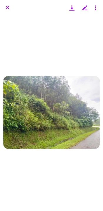 Chính chủ cần bán 3471m2 đất rsx thế đất bằng phẳng mặt đường nhựa viu cao thoáng mát cho quý ac đầu tư