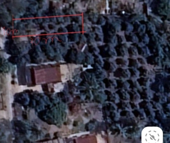 [CHÍNH CHỦ BÁN] ĐẤT VƯỜN THỔ CƯ 10x30M P. LONG BAO TRỌN GÓI SỔ SÁCH