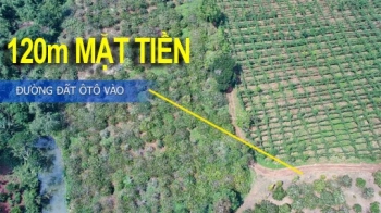 ⭐ ĐẤT 800M RA QL14, CÓ 120M MẶT TIỀN ÔTÔ. AO VƯỜN TRỒNG KÍN VIEW THOÁNG ĐÃNG