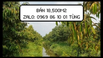 CẦN TIỀN BÁN GẤP 18.5 CÔNG(18,500m2)  ĐẤT TRỒNG CÂY 7tỷ 6