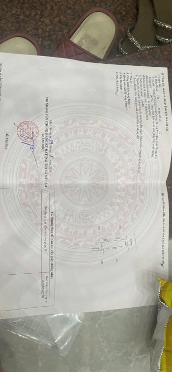 Bán đất sổ đỏ chính chủ tại xã Dương Quang - Mỹ Hào - Hưng Yên