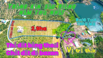 Siêu phẩm thác - Suối đá bàn cực đẹp, cực ngộp tại tỉnh Đắk Nông