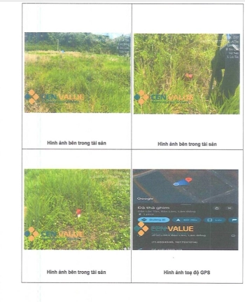 BÁN ĐẤU GIÁ BĐS TẠI PHƯỜNG 2 BẢO LỘC, TỈNH LÂM ĐỒNG