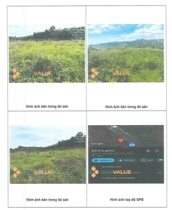 BÁN ĐẤU GIÁ BĐS TẠI XÃ BẢO LÂM 1, TỈNH LÂM ĐỒNG,