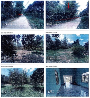 BÁN ĐẤU GIÁ BĐS TẠI XÃ TÀ LÀI, TP. ĐỒNG NAI