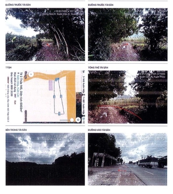 BÁN ĐẤU GIÁ BĐS TẠI XÃ XUÂN LỘC, TỈNH ĐỒNG NAI.