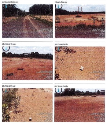 BÁN ĐẤU GIÁ BĐS TẠI BÌNH PHƯỚC (NAY LÀ TỈNH ĐỒNG NAI)..