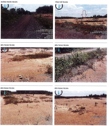 BÁN ĐẤU GIÁ BẤT ĐỘNG SẢN TẠI XÃ ĐỒNG TÂM,  TỈNH ĐỒNG NAI.