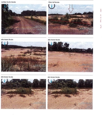 BÁN ĐẤU GIÁ BẤT ĐỘNG SẢN TẠI BÌNH PHƯỚC (NAY LÀ TỈNH ĐỒNG NAI)