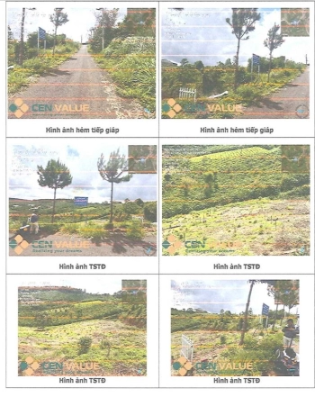 BÁN ĐẤU GIÁ BĐS TẠI XÃ BẢO LÂM  1, TỈNH LÂM ĐỒNG