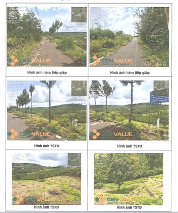 BÁN ĐẤU GIÁ BĐS TẠI XÃ BẢO LÂM 1, TỈNH LÂM ĐỒNG.