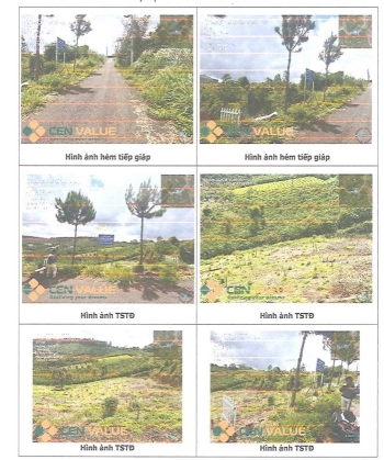 BÁN ĐẤU GIÁ BĐS TẠI XÃ BẢO LÂM 1, TỈNH LÂM ĐỒNG,