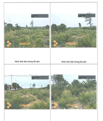 BÁN ĐẤU GIÁ BẤT ĐỘNG SẢN TẠI ĐỒNG NAI