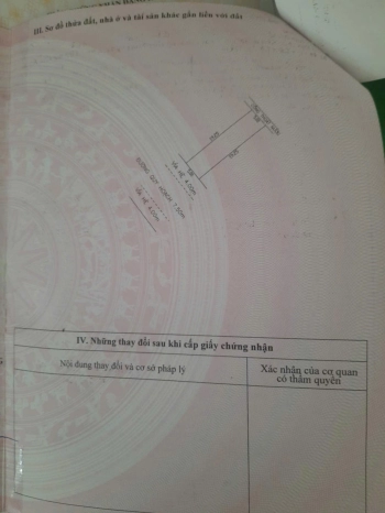 Bán gấp lô đất tặng nhà cấp 4 trên đường Trần Thúc Nhẫn - Hàng hiếm