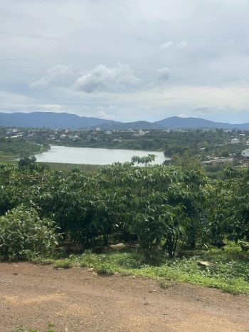 7x40 126 thổ cư mt nhựa view hồ giá 840tr sổ riêng xã Tân Châu