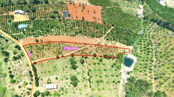 đất sào bất động sản giá rẻ mặt đường nhiều tại gia nghĩa