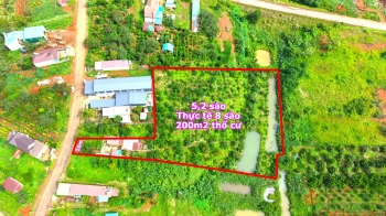 Đất xây dựng kho bãi gần quốc lộ 14 và gần đường tránh Gia Nghĩa