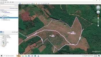 Bán Lô Đất Trồng Cây Ăn Qủa tại Sông Hinh, Phú Yên