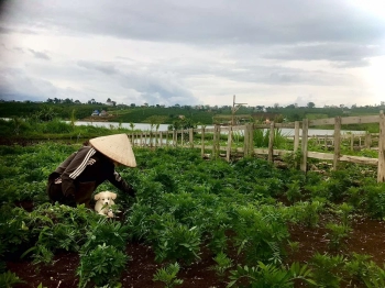 Siêu hot - chính chủ cần bán gấp lô đất hiếm view đẹp huyện Lâm Hà - Lâm Đồng