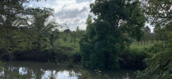 Đất Mặt Tiền Đường Nguyễn Văn Linh Đuôi Giáp Suối