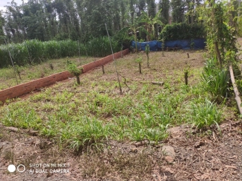 Bán đất xã Xuân Sơn, Huyện Châu Đức, Bà Rịa - Vũng Tàu dt 8x20m 