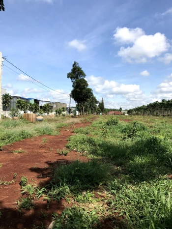 Bán đất nền Long Phước, thị xã Phước Long giá gốc, sổ hồng