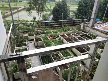 bán hoặc cho thuê nhà riêng 3 tầng chính chủ, diện tích 240m2, tại Cầu Tre, Hồ Sơn, Tam Đảo, Vĩnh Phúc