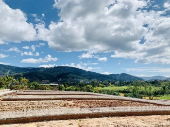 Thôn 1 Mê Linh. Giá F0. mặt tiền 6m. KDC Đông Đúc