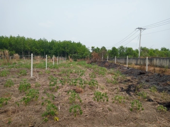 Bán gấp 2 nền mặt tiền đường DT753 sổ riêng 450 triệu