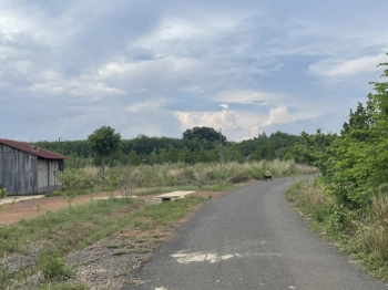 200 thổ cư và 2 mặt tiền 1 nhựa và 1 bê tông