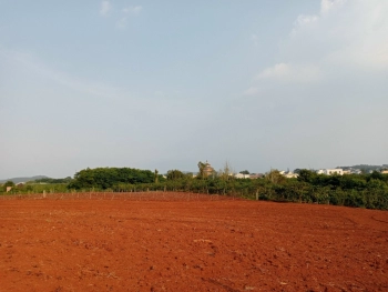 Cần tiền cho con đi du học bán gấp 3000m2 đất, giá 400 triệu. .