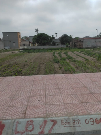 ❤️ Bán đất tại khu dân cư xã An Châu , Đông Hưng, Thái Bình