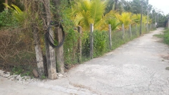 Chính Chủ Bán Đất Phú Nhuận TP Bến Tre,Giá Siêu Rẻ