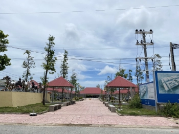 Cần bán đất chính chủ tại Thạnh Phú, Bến Tre 