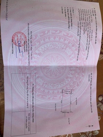 Cần bán đất vị trí đẹp giá rẻ hấp dẫn tại Vĩnh Bảo - Hải Phòng