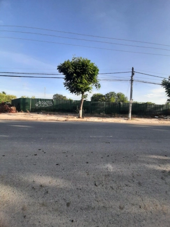 Cho thuê 1050m2 đất TMDV sau lưng Bảo Tàng mặt tiền Ng Công Trứ