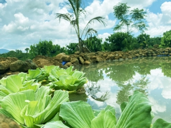 CHÍNH CHỦ: BÁN RẺ KHU NHÀ VƯỜN VIEW THOÁNG MÁI. NỢ NH BÁN GIÁ RẺ