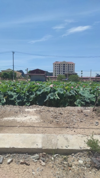 Bán đất đẹp tại xã Gia Thịnh, Gia Viễn, Ninh Bình Chỉ có 27 triệu/m2