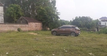 Hàng khủng long, giá chim sẻ.Đức Thọ, Dương Đức, Lạng Giang .120m2. 5xx