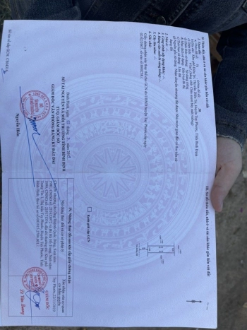 Bán đất Diêu Trì, Bình Định, mặt tiền 97m2, Bên cạnh nội thất gỗ Minh Lam