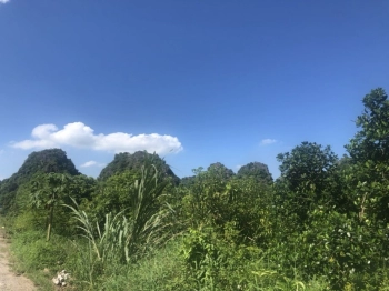 Bán đất Cao Dương Lương Sơn Hoà Bình. 700m2 mặt kinh doanh QL HCM chỉ 4,5 tỷ