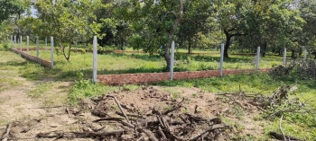 CẮT LỖ BÁN RẺ SÀO ĐẤT ĐẸP, GẦN KDL CHỨA CHAN GIA LÀO