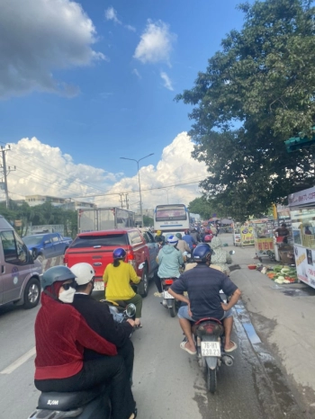 DRAGON PEARL Còn 1 lô gốc cuối cùng DT163 m2 Giá yêu thương